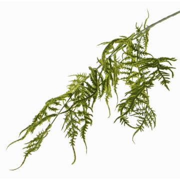 Fake asparagus plumosus branch CHRISTIAN, green, 33"/85cm Fake asparagus plumosus branch CHRISTIAN, green, 33"/85cm