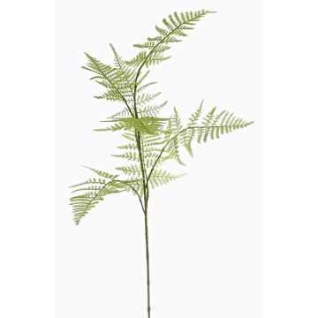Fake asparagus plumosus branch HAYDON, green, 33"/85cm Fake asparagus plumosus branch HAYDON, green, 33"/85cm