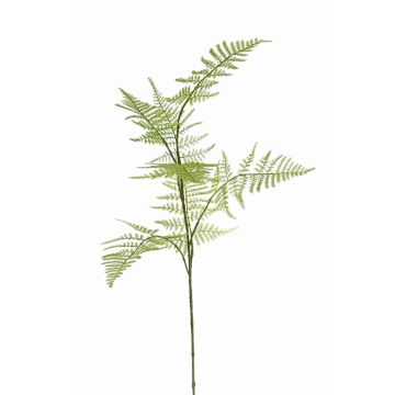 Fake asparagus plumosus branch HAYDON, green, 33"/85cm
