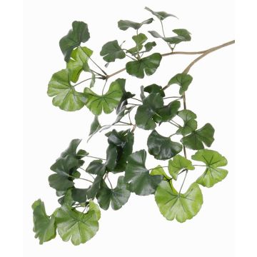 Artificial ginkgo branch HILGER, hardly flammable, 28"/70cm Artificial ginkgo branch HILGER, hardly flammable, 28"/70cm