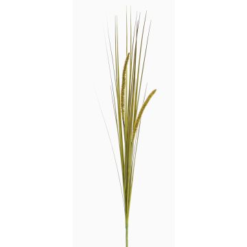Fake foxtail grass JILL, on spike, panicles, green-yellow, 35"/90cm