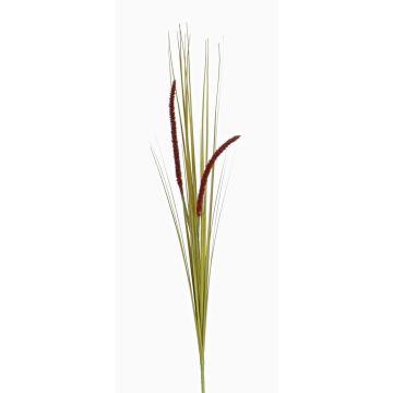 Fake foxtail grass JILL, on spike, panicles, green-violet, 35"/90cm