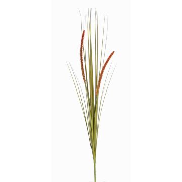 Fake foxtail grass JILL, on spike, panicles, green-red, 35"/90cm