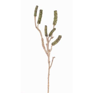 Fake callistemon branch SIRIUS with fruits, green, 24"/60cm Fake callistemon branch SIRIUS with fruits, green, 24"/60cm