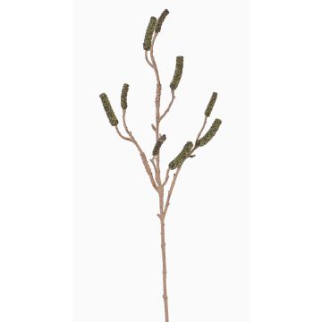 Fake callistemon branch SIRIUS with fruits, green, 35"/90cm Fake callistemon branch SIRIUS with fruits, green, 35"/90cm