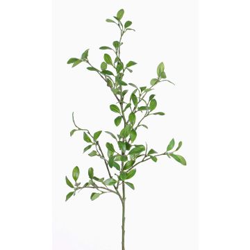 Artificial privet branch MENZEL, green, 3ft/105cm