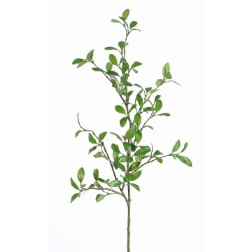 Artificial privet branch MENZEL, green, 3ft/105cm