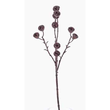 Fake eucalyptus branch BASILIUS with fruits, brown, 24"/60cm Fake eucalyptus branch BASILIUS with fruits, brown, 24"/60cm