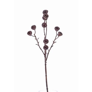Fake eucalyptus branch BASILIUS with fruits, brown, 24"/60cm Fake eucalyptus branch BASILIUS with fruits, brown, 24"/60cm