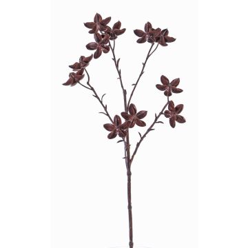 Plastic star anise branch DELANO with fruits, brown, 24"/60cm