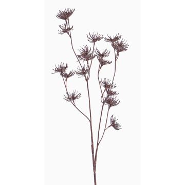 Artificial wild carrot DORIAN, brown, 26"/65cm, Ø1.6"/4cm