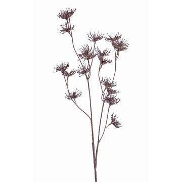 Artificial wild carrot DORIAN, brown, 26"/65cm, Ø1.6"/4cm Artificial wild carrot DORIAN, brown, 26"/65cm, Ø1.6"/4cm