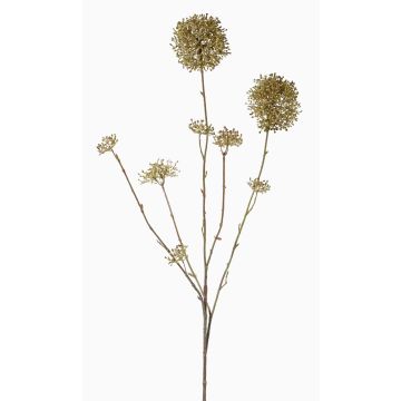 Silk skimmia KANUT, green, 35"/90cm, Ø1.6"-3.1"/4-8cm Silk skimmia KANUT, green, 35"/90cm, Ø1.6"-3.1"/4-8cm