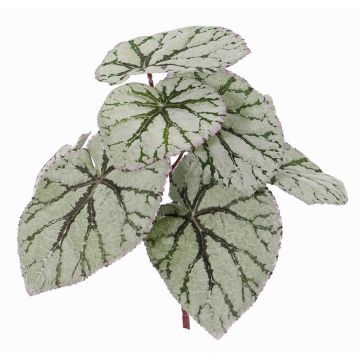 Fake begonia rex KATRICE on spike, green-grey, 10"/25cm