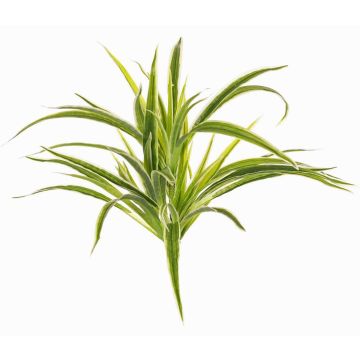 Artificial Spider plant TASNIN on a support stick, green-white, 14"/35cm, Ø16"/40cm Artificial Spider plant TASNIN on a support stick, green-white, 14"/35cm, Ø16"/40cm