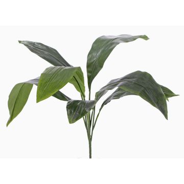 Fake aspidistra VASCO on spike, 22"/55cm Fake aspidistra VASCO on spike, 22"/55cm