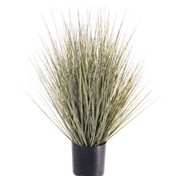 Artificial switchgrass ZAYN, green-grey, 24"/60cm