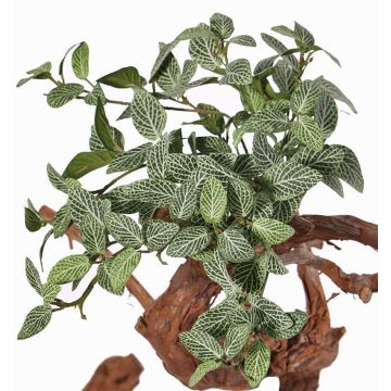 Fake fittonia NIKLAUS, on spike, hardly flammable, green-white, 12"/30cm Fake fittonia NIKLAUS, on spike, hardly flammable, green-white, 12"/30cm