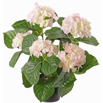 Artificial hydrangea flower TEMARI, white-pink, 16"/40cm, Ø3.9"-4.7"/10-12cm Artificial hydrangea flower TEMARI, white-pink, 16"/40cm, Ø3.9"-4.7"/10-12cm