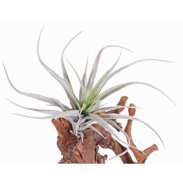 Silk tillandsia stricta ADELE on spike, green-grey, 10"/25cm, Ø8"/20cm Silk tillandsia stricta ADELE on spike, green-grey, 10"/25cm, Ø8"/20cm
