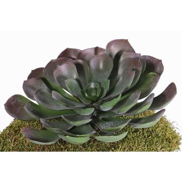 Artificial aeonium BARBARA on spike, red-green, 5.9"/15cm, Ø10"/25cm