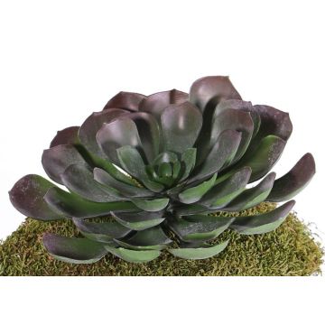 Artificial aeonium BARBARA on spike, red-green, 6"/15cm, Ø10"/25cm