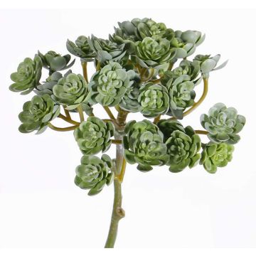 Fake echeveria BLAIR on spike, green, 8"/20cm, Ø3.9"/10cm