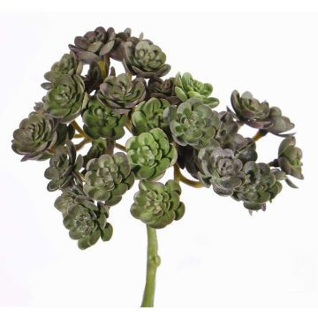 Fake echeveria BLAIR on spike, red-green, 8"/20cm, Ø3.9"/10cm