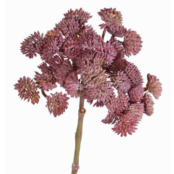 Plastic sedum DANICA, dark red, 8"/20cm, Ø3.9"/10cm Plastic sedum DANICA, dark red, 8"/20cm, Ø3.9"/10cm