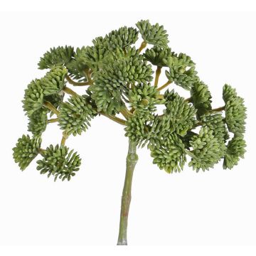 Plastic sedum DANICA, green, 8"/20cm, Ø3.9"/10cm Plastic sedum DANICA, green, 8"/20cm, Ø3.9"/10cm