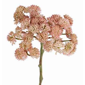 Plastic sedum DANICA, pink, 8"/20cm, Ø3.9"/10cm Plastic sedum DANICA, pink, 8"/20cm, Ø3.9"/10cm