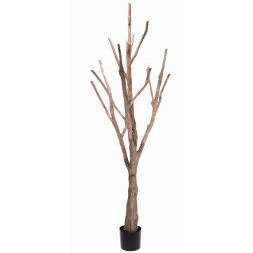 Fake deciduous tree trunk WILKO with branches, brown, 7ft/215cm