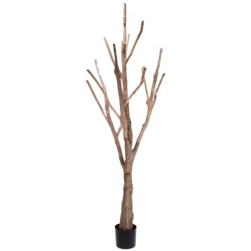 Fake deciduous tree trunk WILKO with branches, brown, 7ft/215cm