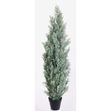 Fake cypress GEROME, green-grey, 5ft/150cm