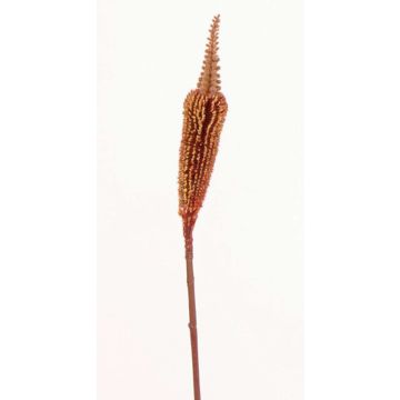 Silk bulbinella TALUNA, brown-red, 26"/65cm, Ø1.6"/4cm