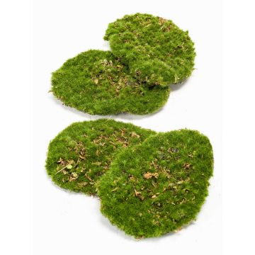 Artificial decoration moss pieces HEFEI, 4 pieces, green, 4.3"x6"x2"/11x15x5cm