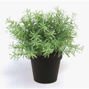 Plastic Rosemary YANIS, green, 8"/20cm Plastic Rosemary YANIS, green, 8"/20cm