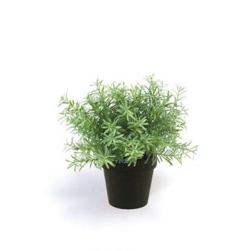 Plastic Rosemary YANIS, green, 8"/20cm Plastic Rosemary YANIS, green, 8"/20cm