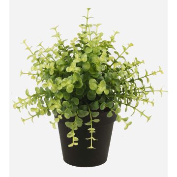 Plastic eucalyptus YANIS, green, 8"/20cm