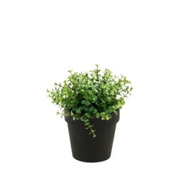 Plastic eucalyptus YANIS, green, 8"/20cm Plastic eucalyptus YANIS, green, 8"/20cm