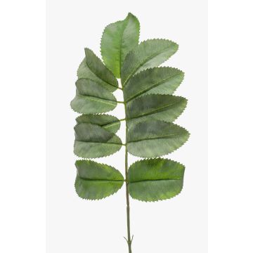 Artificial melianthus SATORU, green, 26"/65cm