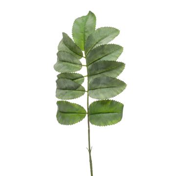 Artificial melianthus SATORU, green, 26"/65cm