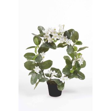 Artificial waxflower ALTAY, white, 16"/40cm