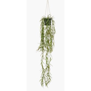 Artificial hanging basket with rhipsalis BOLTEN, green, 31"/80cm