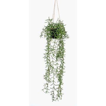 Artificial hanging basket with senecio BOLTEN, green, 28"/70cm