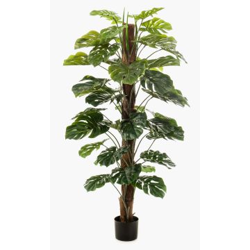 Artificial Philodendron Monstera Deliciosa TILA, 5ft/150cm