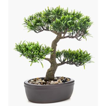 Plastic bonsai podocarpus GOYA in planter, 12"/30cm