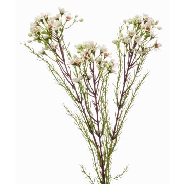 Artificial wax flower MEDEA, cream, 31"/80cm