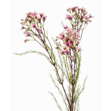 Artificial wax flower MEDEA, light pink, 31"/80cm