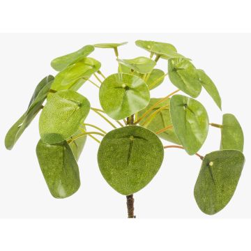 Artificial Chinese money plant SYBIL on spike, green, 5.1"/13cm